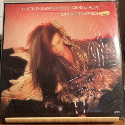 Dead Or Alive That’s The Way (I Like It) 12” Vinyl ES 12122 (R5.4) - Image 1 of 2