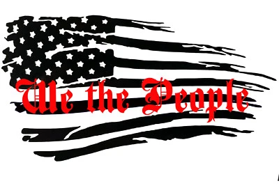 Any Color We The People Tattered Distressed Flag Decal Sticker Forward Reverse - Image 1 of 3