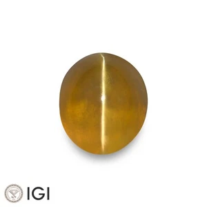 Crisoberillo Occhio di Gatto Certificato IGI CEYLON Crisoberillo 2,26 Ct. Miele Naturale Non Trattato Ovale - Foto 1 di 8
