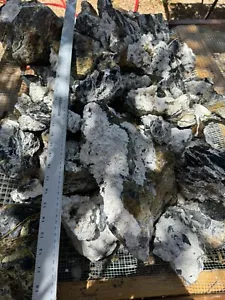 White Buffalo Natural Turquoise One Pound Lots Shipping! 07-18-2024 - Picture 1 of 2
