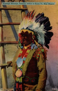 POSTCARD NATIVE AMERICAN INDIAN SANTIAGO NARANJO SANTA FE NEW MEXICO - Picture 1 of 2