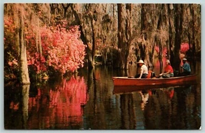 Postcard~ Cypress Gardens~ 24 Miles From Charleston, South Carolina - Picture 1 of 2