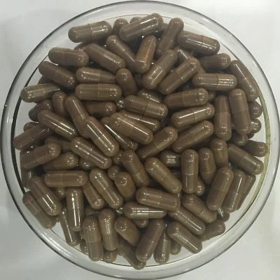 MAPLE LIFESCIENCES Kiefernrindenextrakt Kapseln 95% OPC rein & hochwertig starkes Antioxidans