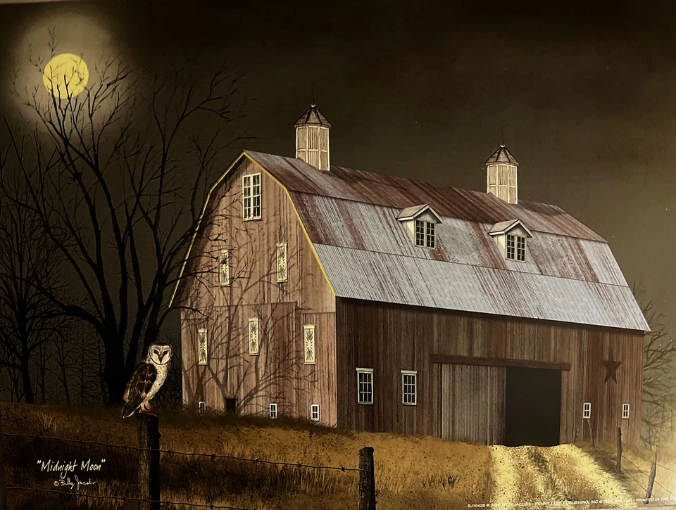 Billy Jacobs Midnight Moon Barn Owl Farm Paper Art Print-12 x 9 - Image 1 of 1