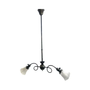 VL1212 Antique Victorian Japanned 1900 2-Lt Chandelier Holophane Shades Restored - Picture 1 of 8