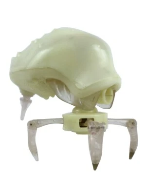 漫威玩具代码 Lyoko Kankrelat 原型人偶测试拍摄卡通网络 2006 — 第 1/3 张图片