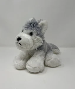 Webkinz Gray Husky Puppy Dog Plush 8" NO CODE Ganz Ears Together - Picture 1 of 10