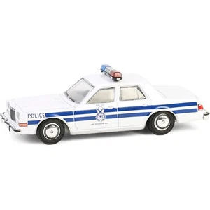 1985 Dodge Diplomat - U.S. Air Force Security Police 61050-e - Picture 1 of 1