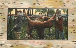 "A Tolerable Holdup!"~Deer Hunters Hoist Big Buck on Pole~Birch Frame~1909 PC - Picture 1 of 2