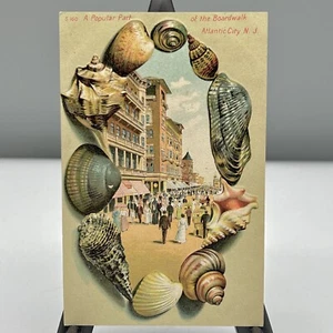 Minty NJ ATLANTIC CITY Boardwalk EMBOSSED SEASHELL FRAME Postcard S160 POPULAR - Picture 1 of 8