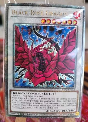 BLACK ROSE DRAGON - TN23-EN014 Quarter Century Secret Rare / Mint-NM Sealed/OVP - Bild 1 von 3