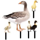 Outdoor Stakes Duck Garden Decoration Lawn Ornaments Outdoor Decor High Quality