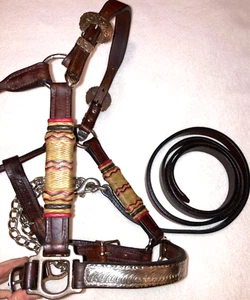 Rawhide Mexico Sterling? Silver Horse Show Halter + Lead - Picture 1 of 10