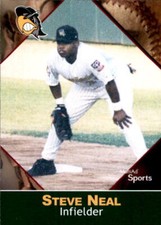 2001 South Bend Silver Hawks Multi-Ad #18 Steve Neal Pine Bluff Arkansas AR Card