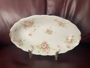 Beautiful Limoges serving plate 8 3/4 x 5/14" - Picture 1 of 2