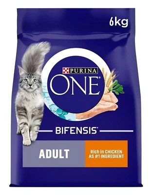 Purina ONE Adult Dry Cat Food, Rich in Chicken and Whole Grains 6kg