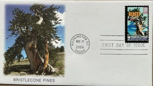 Fleetwood 4049 Wonders of America Bristlecone Pines Oldest Trees - Picture 1 of 2