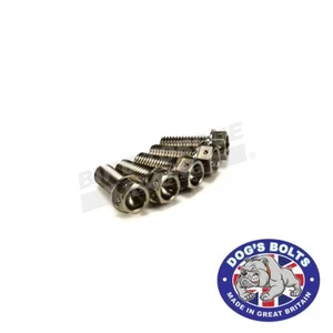 Drilled M10 25mm Fine Thread Stainless Steel Hex Head Bolts x 5 - Picture 1 of 3