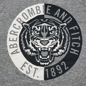 Abercrombie Kids SS Grey Tee Tiger Logo - Size 9/10 - Picture 1 of 5