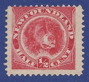 NEWFOUNDLAND 1896  1/2c OR VERMILLION SG62 FINE M MINT - Picture 1 of 1