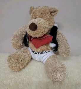 Bear Works  Bear And Buddies Teddy Bear Dressed In  Animal Print Vest And Scarf  - Picture 1 of 8