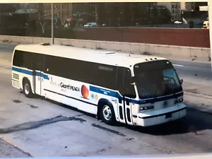 5x7 COLOR PHOTO NYC BUS 1981 GM RTS #1204 Bx-12 PELHAM BAY PARK MARCH 24, 1996 - Picture 1 of 1