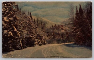 Postcard: It's A Long Long Trail, Gerlach-Barklow Co., Undivided, Unposted - Picture 1 of 2