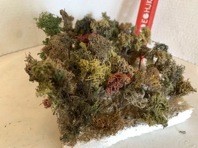 1/72 / HO    Trees  For Diorama and Display. (Homemade) - Image 1 of 4