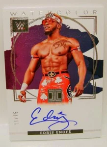 EDRIS ENOFE #11 /75 AUTO WATERCOLORS WWE IMPECCABLE PANINI 2023 - Picture 1 of 2