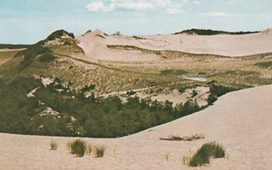 Dünen, Cape Cod, Massachusetts --POSTKARTE - Bild 1 von 2