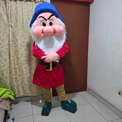 Costume mascotte nano scontroso vestito fantasia adulto per feste eventi carnevale - Immagine 1 di 3
