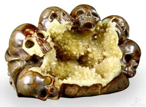 31.01.2015 ACSAD (A Crystal Skull a Day) - The Spirit Guides - Dragon - Bild 1 von 9