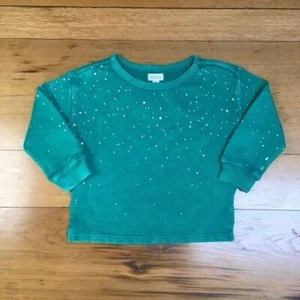 NWT Gymboree Girls Sweatshirt Size 2T - Picture 1 of 4