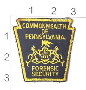 Commonwealth Pennsylvania Forensic Security Vintage gestickter Schild Aufnäher - Bild 1 von 1