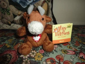 K&M Wild Republic CANADA BISON Itsy Bitsies 3 inch All Tags & Booklet - Picture 1 of 2