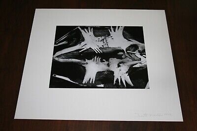 Brett Weston - California Photographer - Turtle Skeleton, 8  X 10 , Vintage • 1,673.41$