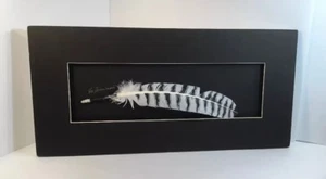 Black White Zebra Feather Peg Fennimore Spirit Wind 95 Limited Edition Original - Picture 1 of 12