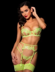 HONEY BIRDETTE AMELIE BRA 38D & X LARGE SUSPENDER & BRIEF BNWT - Picture 1 of 6