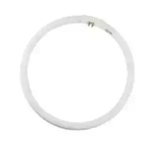 40W T5 Circular Fluoro Tubes 4000k - 370mm diameter - Picture 1 of 1