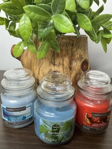 3 Candles Mainstays Jar 3 Ounce Garden Rain Apple Cinnamon Coastal Breeze - Picture 1 of 7