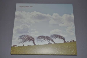 The Pineapple Thief – Hold Our Fire / Kscope 2019 / UK / Digipak / Rar - Bild 1 von 2