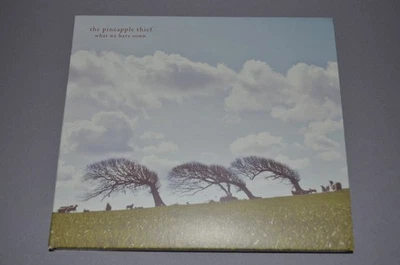 The Pineapple Thief – Hold Our Fire / Kscope 2019 / UK / Digipak / Rar - Bild 1 von 2