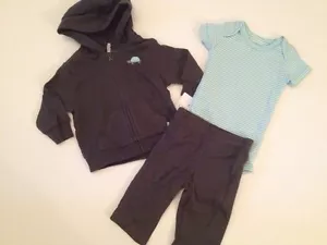 Carter's Baby Boy Grey Turtle Hooded Jacket Pants Outfit Size Newborn 3 6 Months - Picture 1 of 3