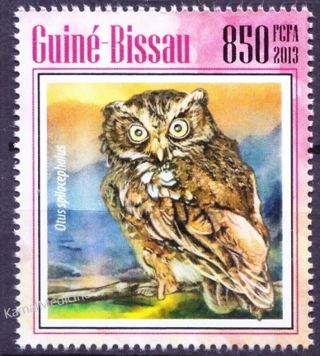 Guinea Bissau 2013 MNH, Mountain Scops Owl, Birds of Ray Foto 1 de 1