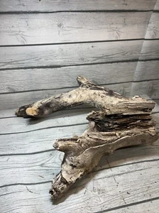 Large Driftwood Terrarium Crafts  Art Wood Home Decor Taxidermy - Picture 1 of 13