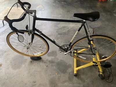 Bicicleta Fugi 12 velocidades Royale ll  Foto 1 de 4