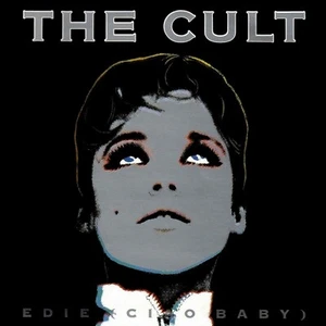 The CULT Edie (Ciao Baby) BANNER RIESIG 4X4 Fuß Stoff Poster Wandteppich Flagge Kunst - Bild 1 von 3