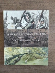 L'OFFENSIVA AUSTRIACA DEL 1916.Strafexpedition e la Contromossa Italiana - Foto 1 di 6