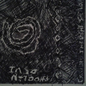 Phoolan Devi - Excursions Into The Shit World 2017 Cass, EP, red  none Near Mint - Picture 1 of 1