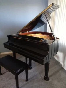Baby Grand Piano Pearl River - Picture 1 of 5